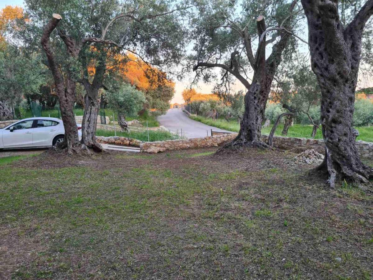 Olea Cottage Улцинь Екстер'єр фото