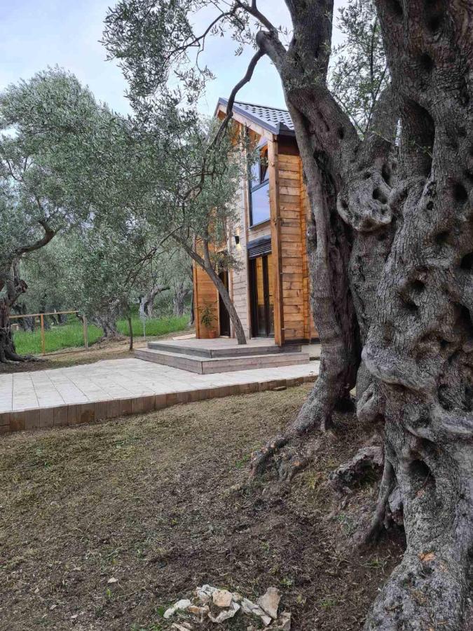Olea Cottage Улцинь Екстер'єр фото