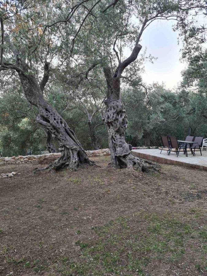Olea Cottage Улцинь Екстер'єр фото
