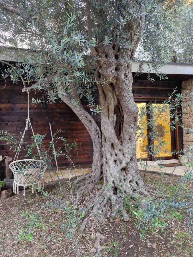 Olea Cottage Улцинь Екстер'єр фото